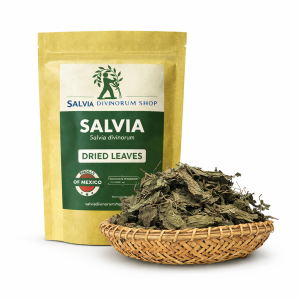 Dried Salvia Divinorum Leaves Showing Natural Leaf Structure